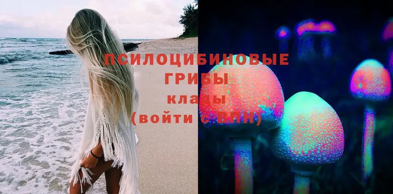 Псилоцибиновые грибы Magic Shrooms  Красавино 